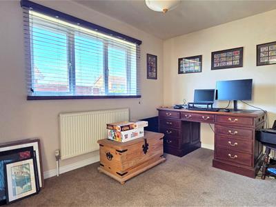 Picture 7